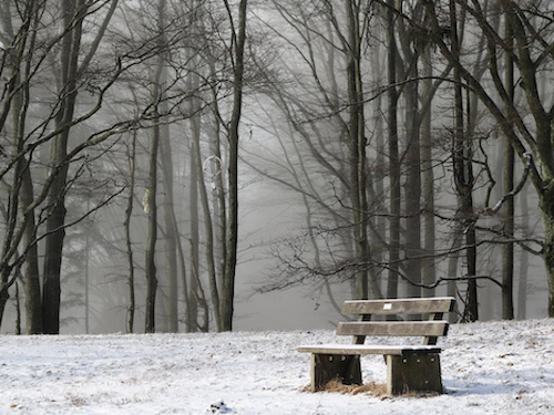 oeffentliche-bondage/parkbank-im-winter-image-by-volker-from-pixabay.png