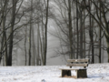 blog/oeffentliche-bondage/parkbank-im-winter-image-by-volker-from-pixabay.png